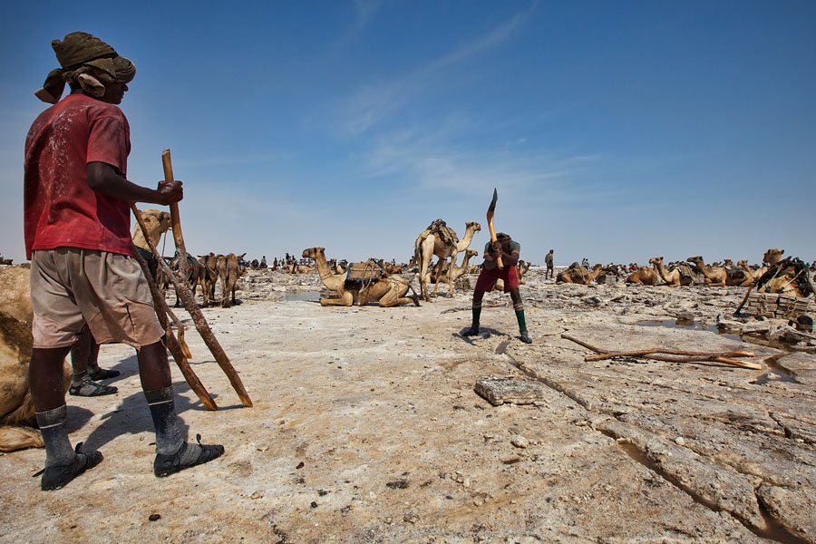  Hard work by the saltworkers on Lake Asale   Ethiopia 